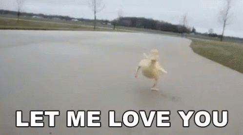 Let Me Love You! GIF - Let Me Love You Duck Run - Discover & Share GIFs