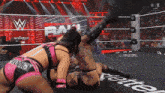 two women are wrestling in a wrestling ring with the word pain behind them