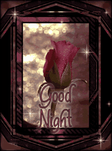 good night rose flower bokeh sparkle