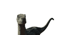 velociraptor creature