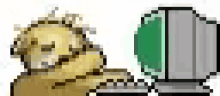 Shiba Inu Dog Lihkg Computer GIF - Shiba Inu Dog Lihkg Computer Unhappy GIFs