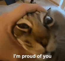 a cat being held by a person with the words i 'm proud of you below it
