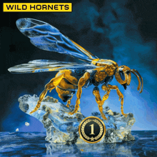 Wild Hornets Ukraine GIF - Wild Hornets Ukraine Drones GIFs