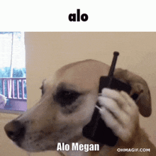 Alo Megan GIF - Alo Megan GIFs
