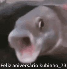 Feliz Aniversario Kubinho73 GIF