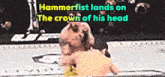 hammerfist lands on the crown of his head in a boxing match