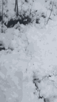 Helping With Snow Work GIF - Helping With Snow Work GIFs