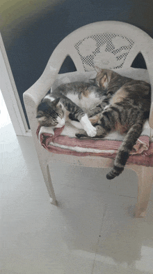 two cats are laying on a chair with a blanket on it