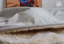 Portude Stick Out GIF - Portude Stick Out Hiding Under The Blanket GIFs