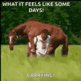 a man is carrying a horse in a field with a caption that says what it feels like some days carrying