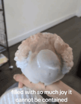 a person holding an oyster shell with the words " filled with so much joy it cannot be contained "