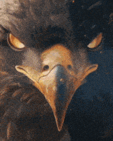 a close up of an eagle 's face with a very angry look on it 's face