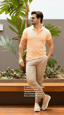 a man wearing a polo shirt and khaki pants is standing in front of a potted plant