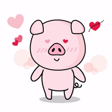 pig animal pink cute happy