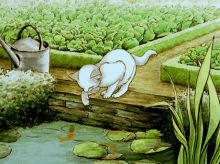 Cat Peter Rabbit GIF - Cat Peter Rabbit Fish GIFs