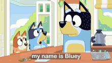 bluey name