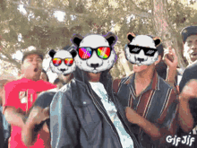 Pandamania GIF - Pandamania GIFs