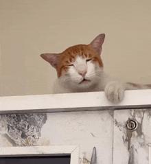 a cat with its eyes closed looks over a white cabinet