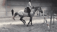 Heels Down Equestrian GIF - Heels Down Equestrian Jumper GIFs