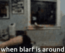 Blarf Discord Mod GIF - Blarf Discord Mod GIFs