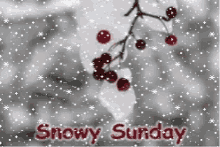 Snowy Sunday GIF