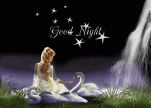 good night swan waterfall nature sparkle