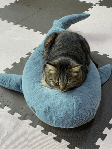 a cat laying on top of a stuffed whale pillow