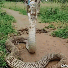 Snake With Seeshmahal Gif GIF - Snake With Seeshmahal Gif GIFs