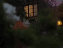 jordi elias zen garden diorama evening japanese