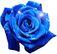Rosas Rose Sticker - Rosas Rose Blue Stickers