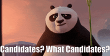 Kung Fu Panda 4 Po GIF - Kung Fu Panda 4 Po Candidates GIFs