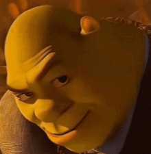 a close up of shrek 's face with a serious look on his face .