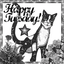 a black and white picture of a cat with the words happy tuesday on it
