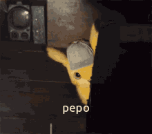 Pepo GIF