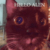 Hello Alen GIF - Hello Alen GIFs