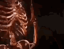 Rip Bozo Skeleton GIF - Rip Bozo Skeleton Smoking GIFs