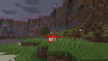 a minecraft scene with a tnt tnt sign in the background
