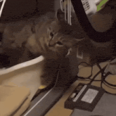 a cat is sitting on a desk next to a vhs tape player .