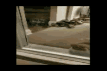a person is looking through a window at a sink