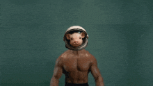 a man with a pig on his head holds two cats