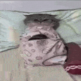 a cat is wrapped in a pink blanket and sleeping on a bed .