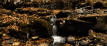 Water Mini Waterfall GIF - Water Mini Waterfall Stream GIFs