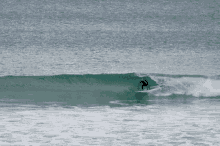 Peras Surfing GIF - Peras Surfing Beach GIFs