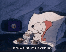 Snoopy Aksel GIF - Snoopy Aksel Hoover GIFs