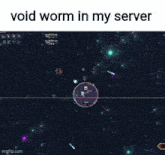 a screenshot of a video game with the words " void worm in my server "