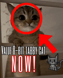 a tabby cat with the words value 8 bit tabby cat now on the bottom