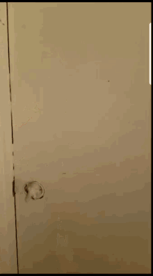 door not