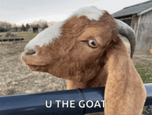 a brown and white goat is looking over a fence with the words u the goat below it