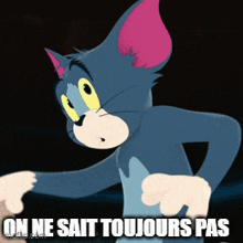 a picture of tom from tom and jerry with the words on ne sait toujours pas below him