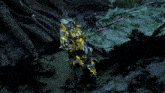 a video game character is standing in the woods